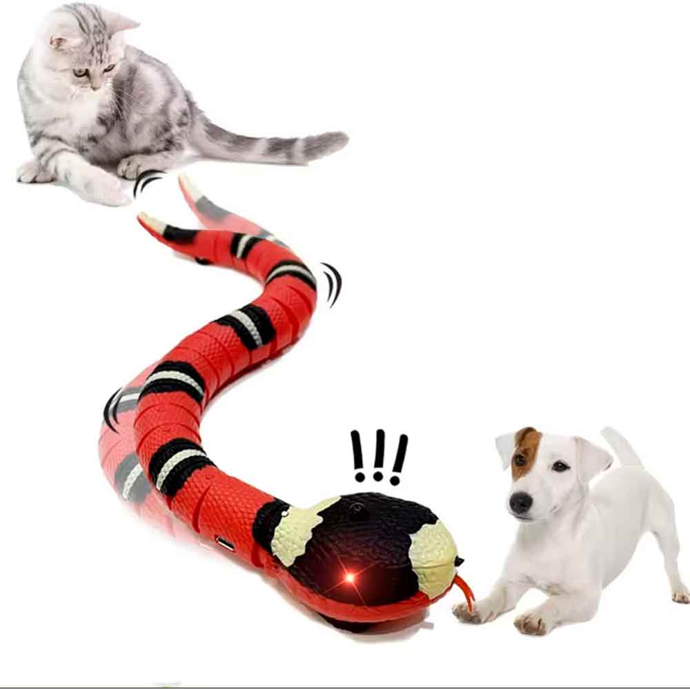 image-6c2145926eea43f6afca360108668a7e image-6c2145926eea43f6afca360108668a7e