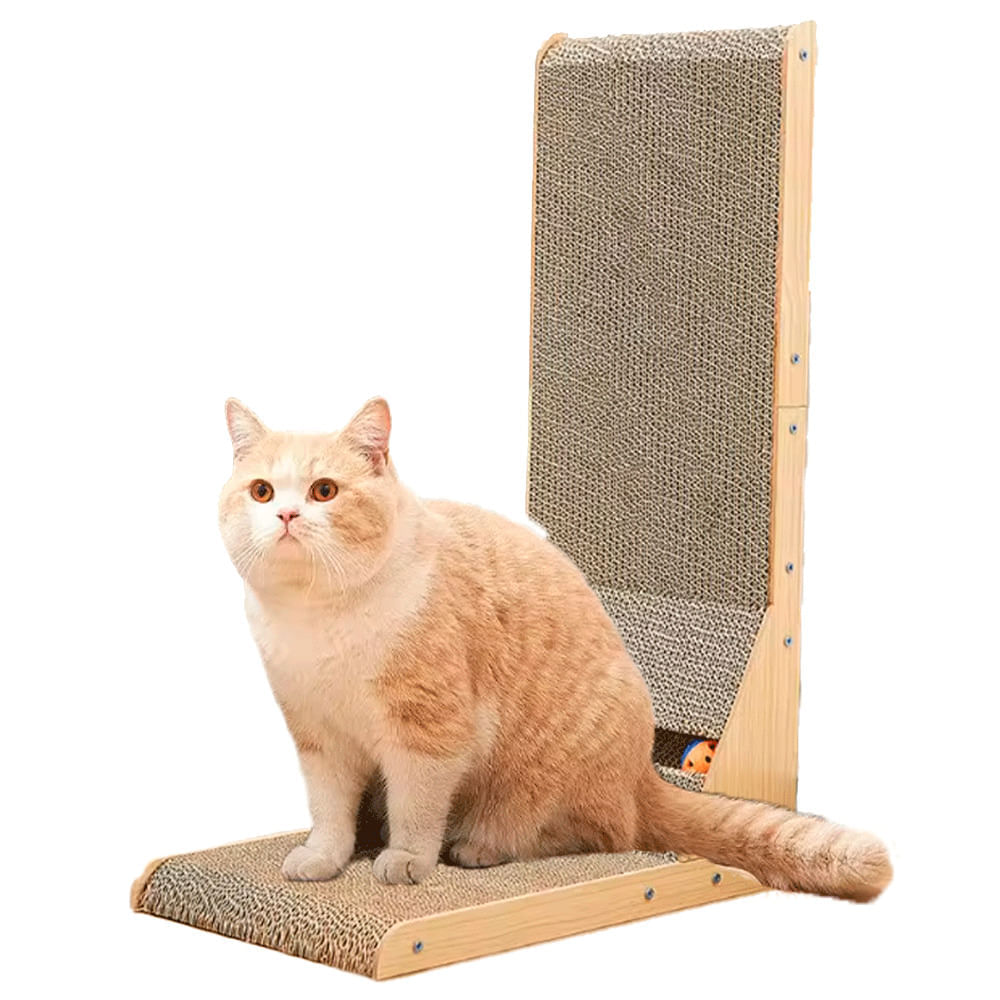 image-2652558d47cc4af6b8835614d8122705 image-2652558d47cc4af6b8835614d8122705