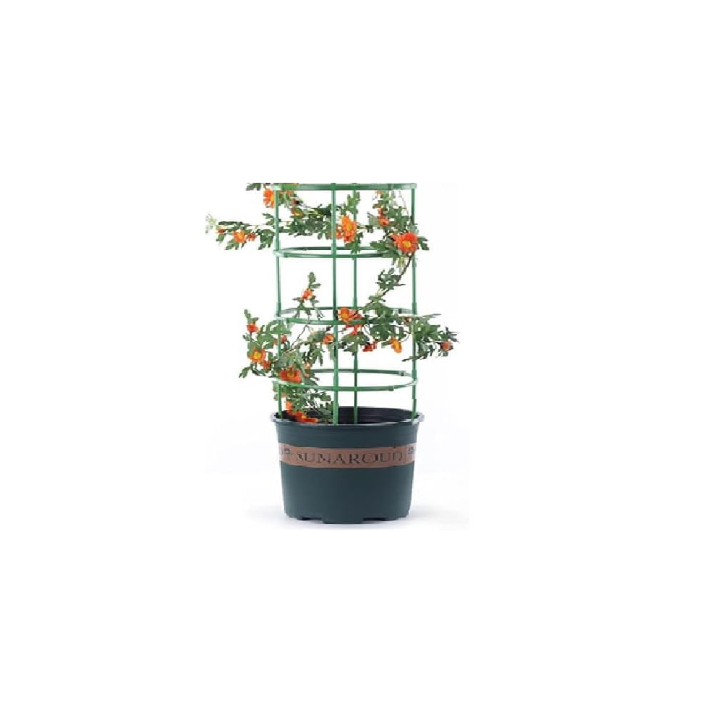 Soporte para Flores Interiores