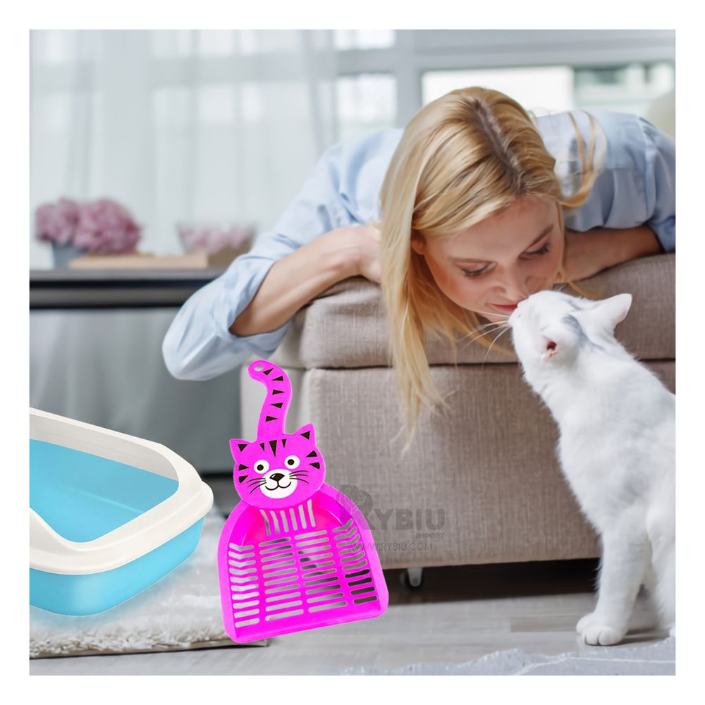 Set para Deposiciones en Multicolor Y+Papel de Regalo