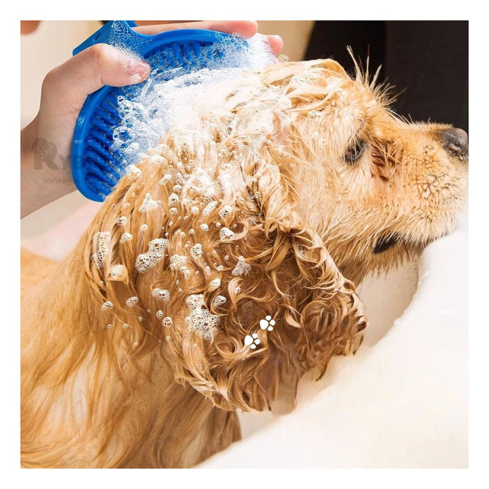 Peine Flexible Redondo Ergonomica y Duradera en Celeste