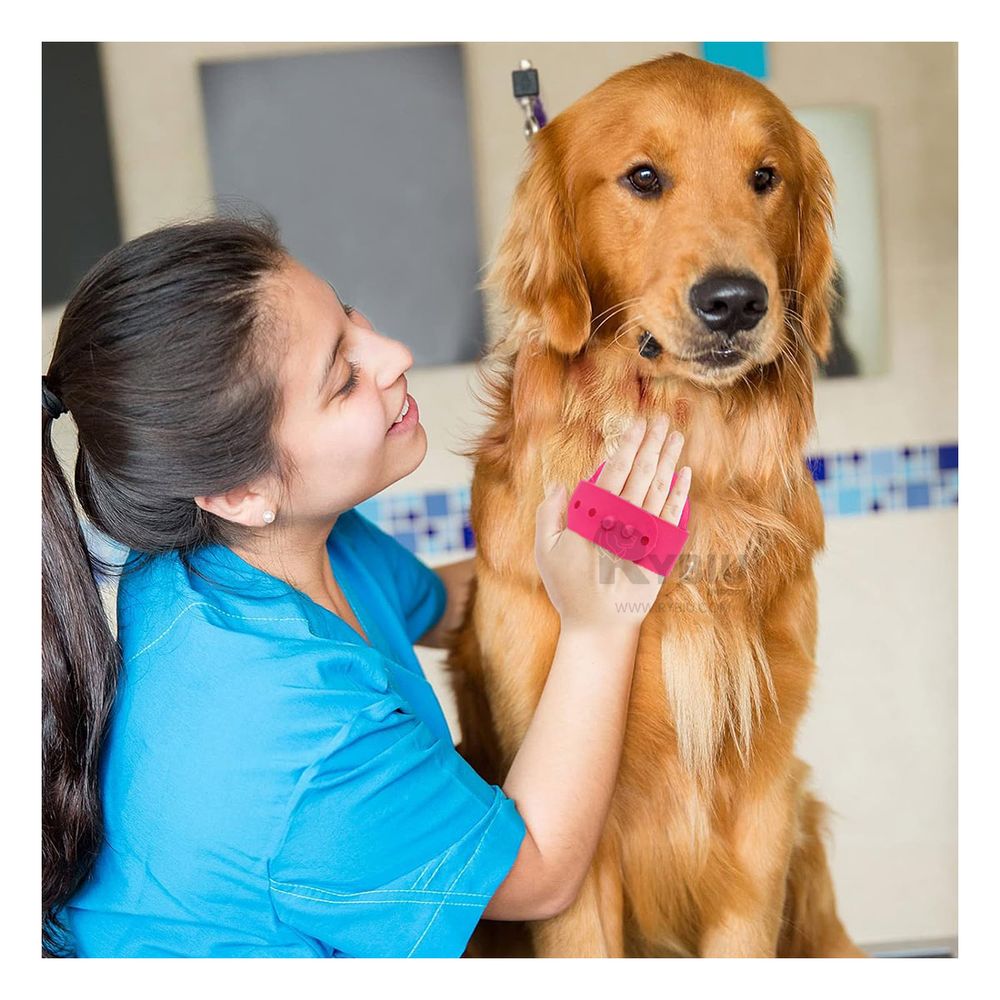 Peine Practica Confiable en Rosado Y+Agendita