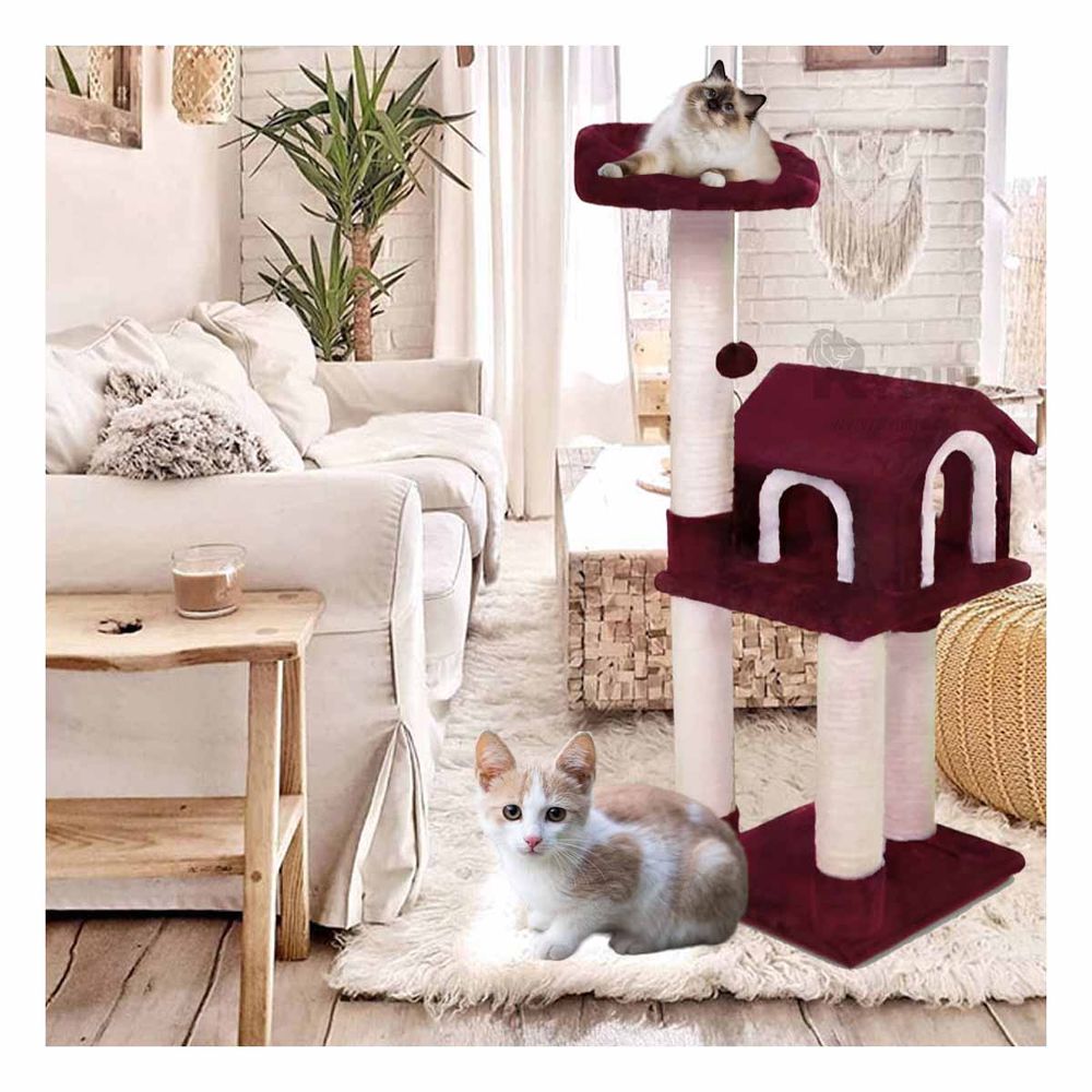 imageUrl_1 imageUrl_1