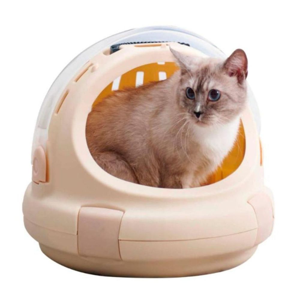 151924.jpg 151924.jpg