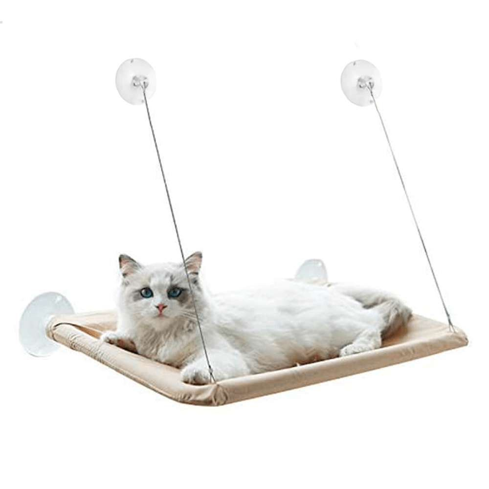 image-2f9b24a82318450fac29c953f39c5084 image-2f9b24a82318450fac29c953f39c5084