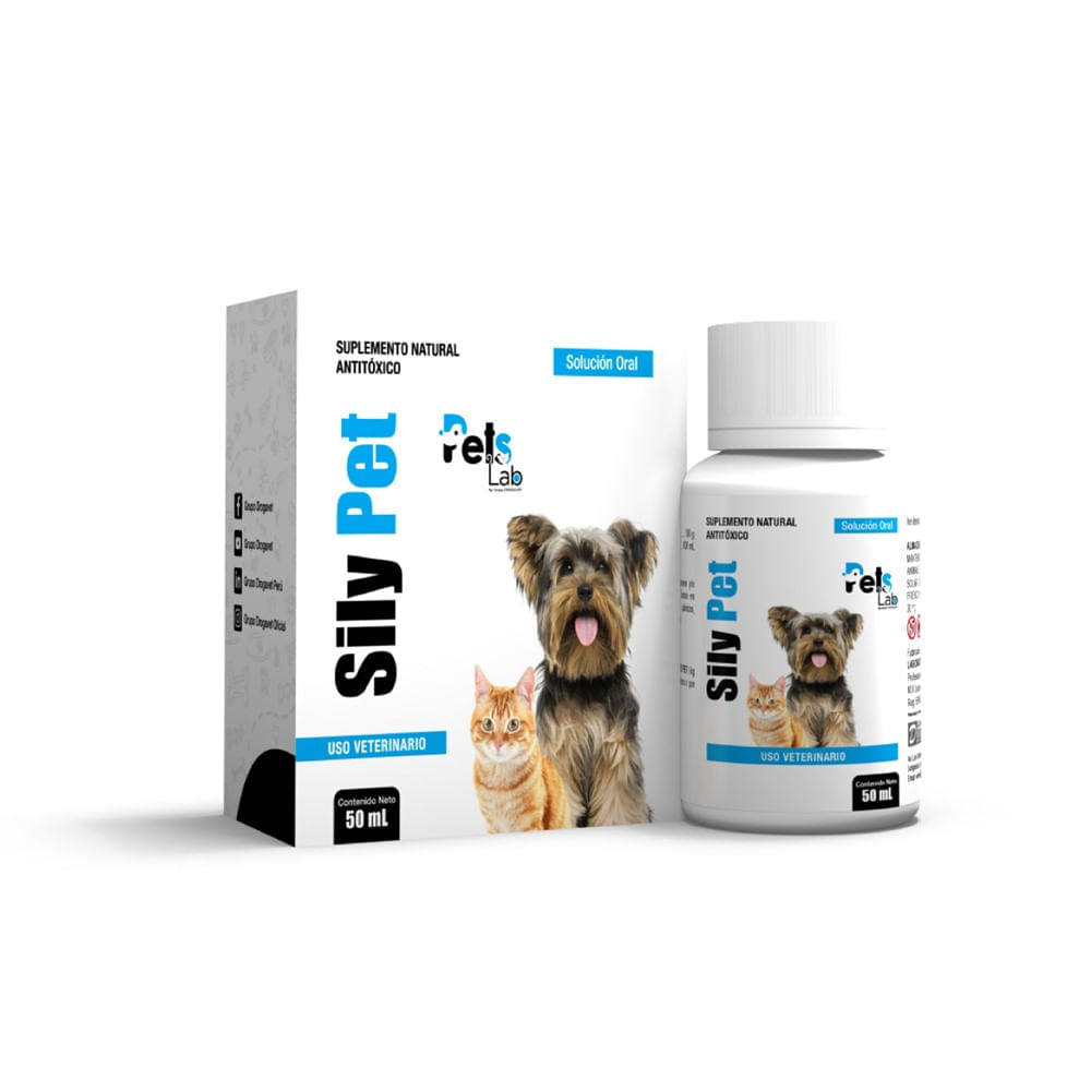 image-5adf8157bb09457890836341d081d537 image-5adf8157bb09457890836341d081d537