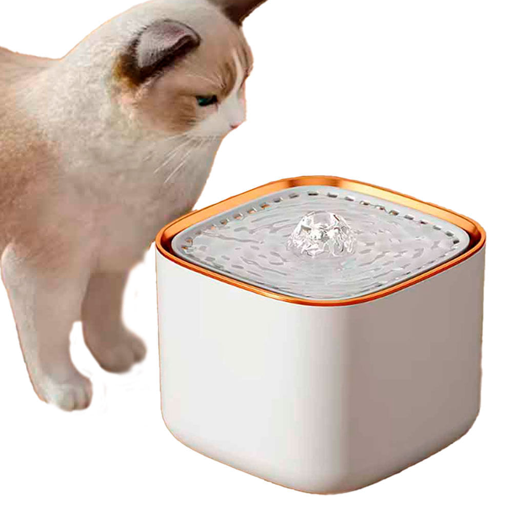 1720129389776_0 1720129389776_0