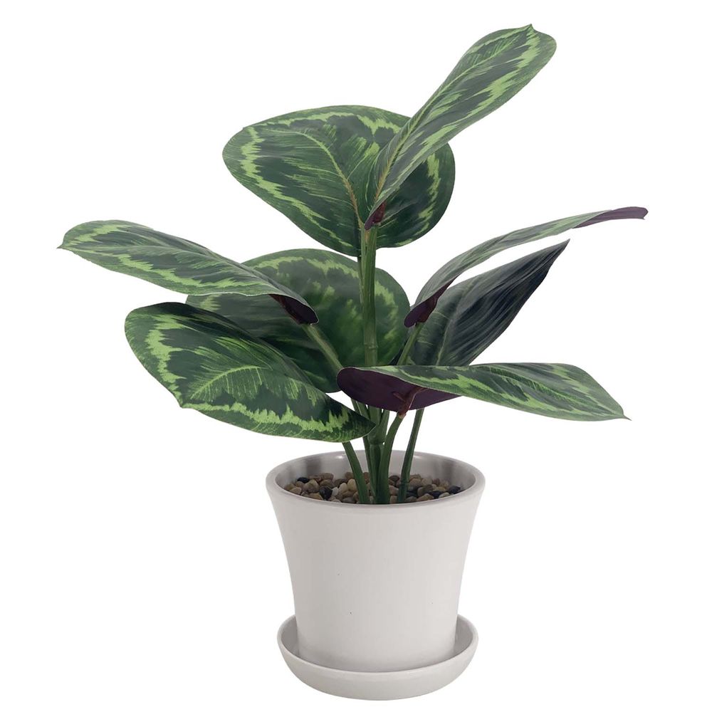 Planta Pot Con Plato 32 cm