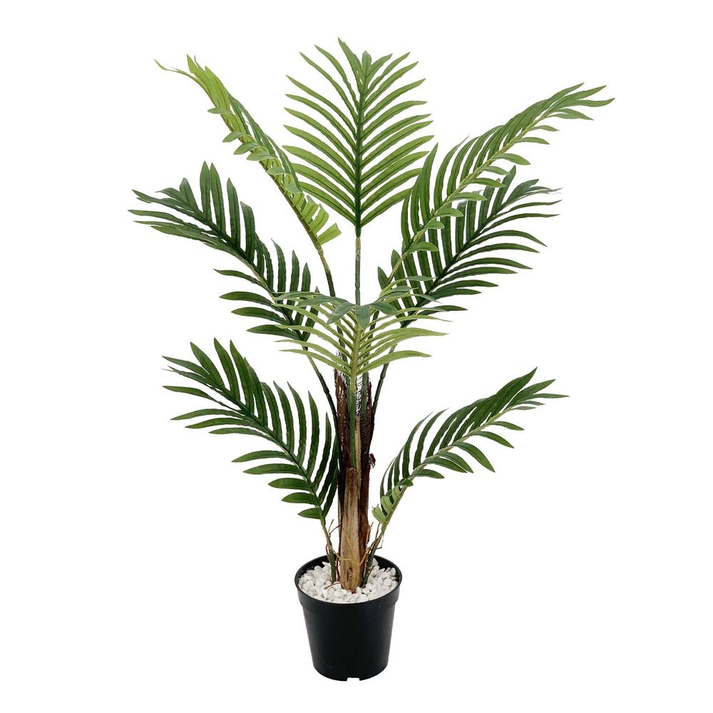 Planta Palmera 80 cm