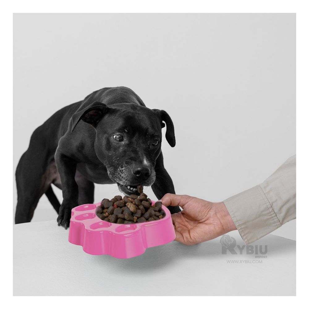 Plato Ergonomico para Perros en Rosado Y+Papel de Regalo