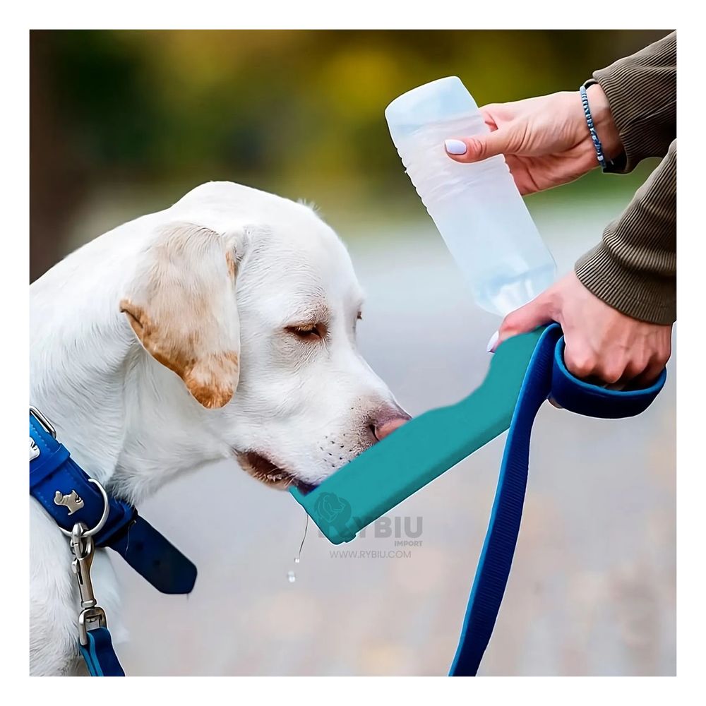 Bebedero para Perro con Bandeja en Celeste Y+Papel de Regalo