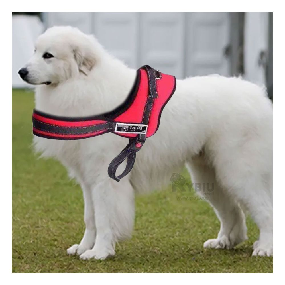 Arnes Comodo para Perros Talla XL de Color Rojo Y+Stickers