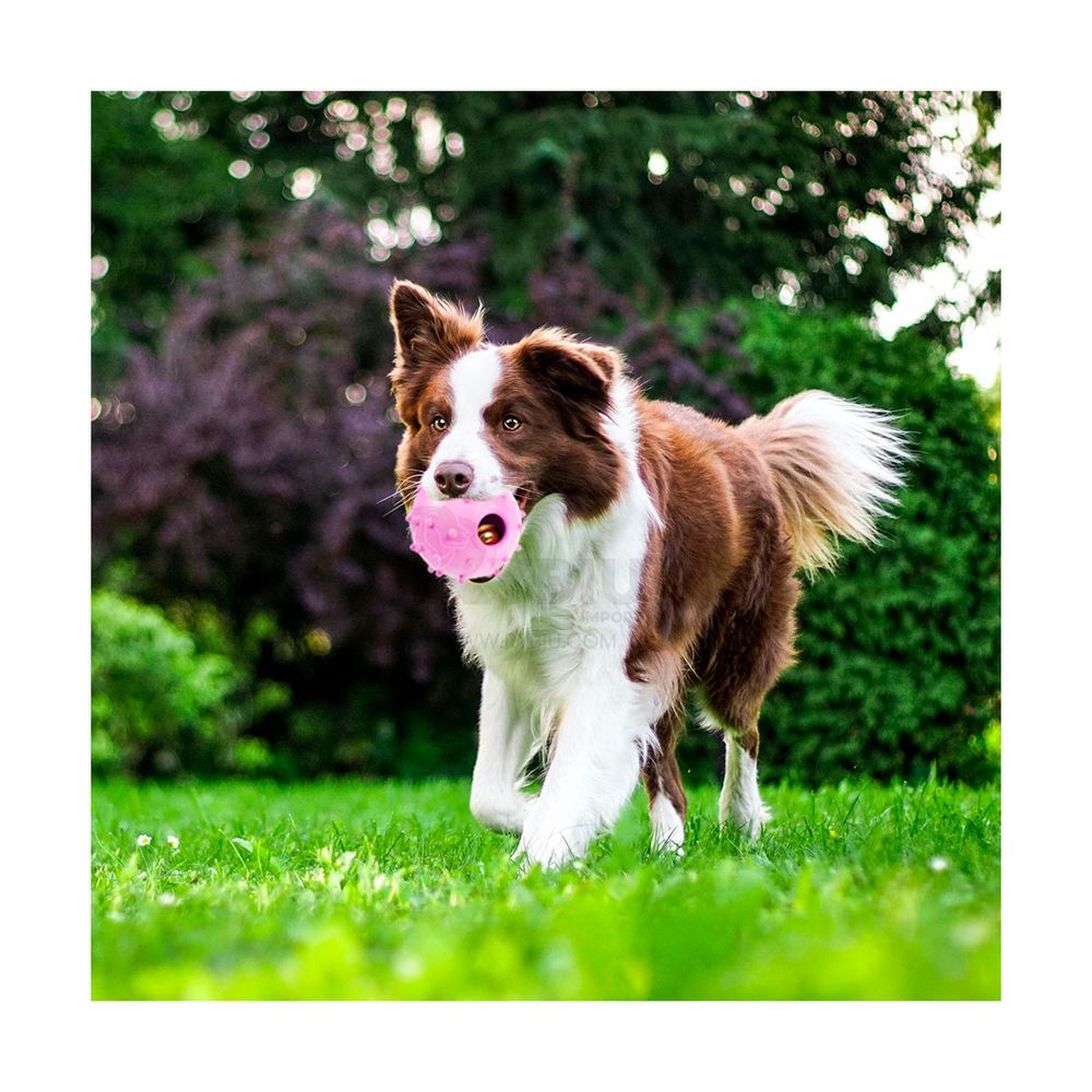 Pelota Dinamica para Perros de Color Rosado Y+Stickers