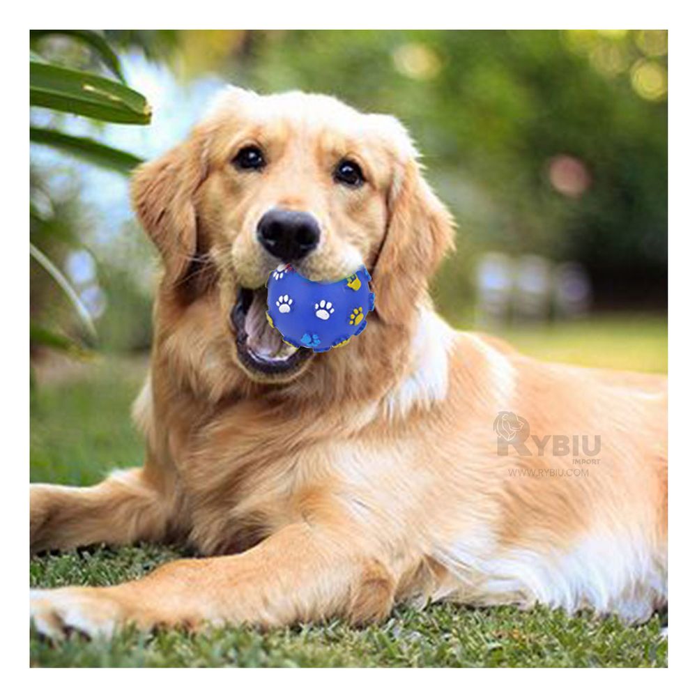 Pelota Ligera Versátil para Mascotas Talla M Azul Y+Agendita