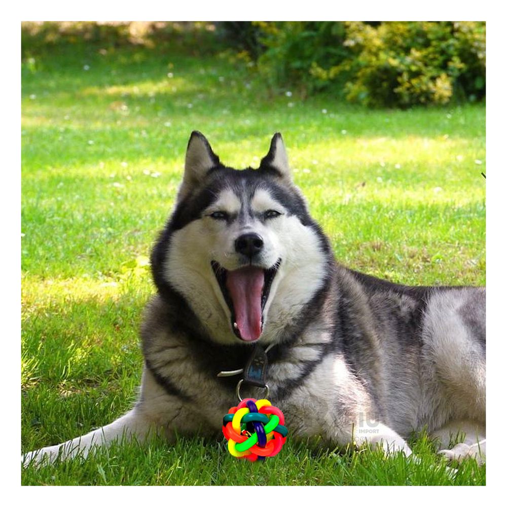 Pelota Didactica para Perros en Multicolor Y+Agendita