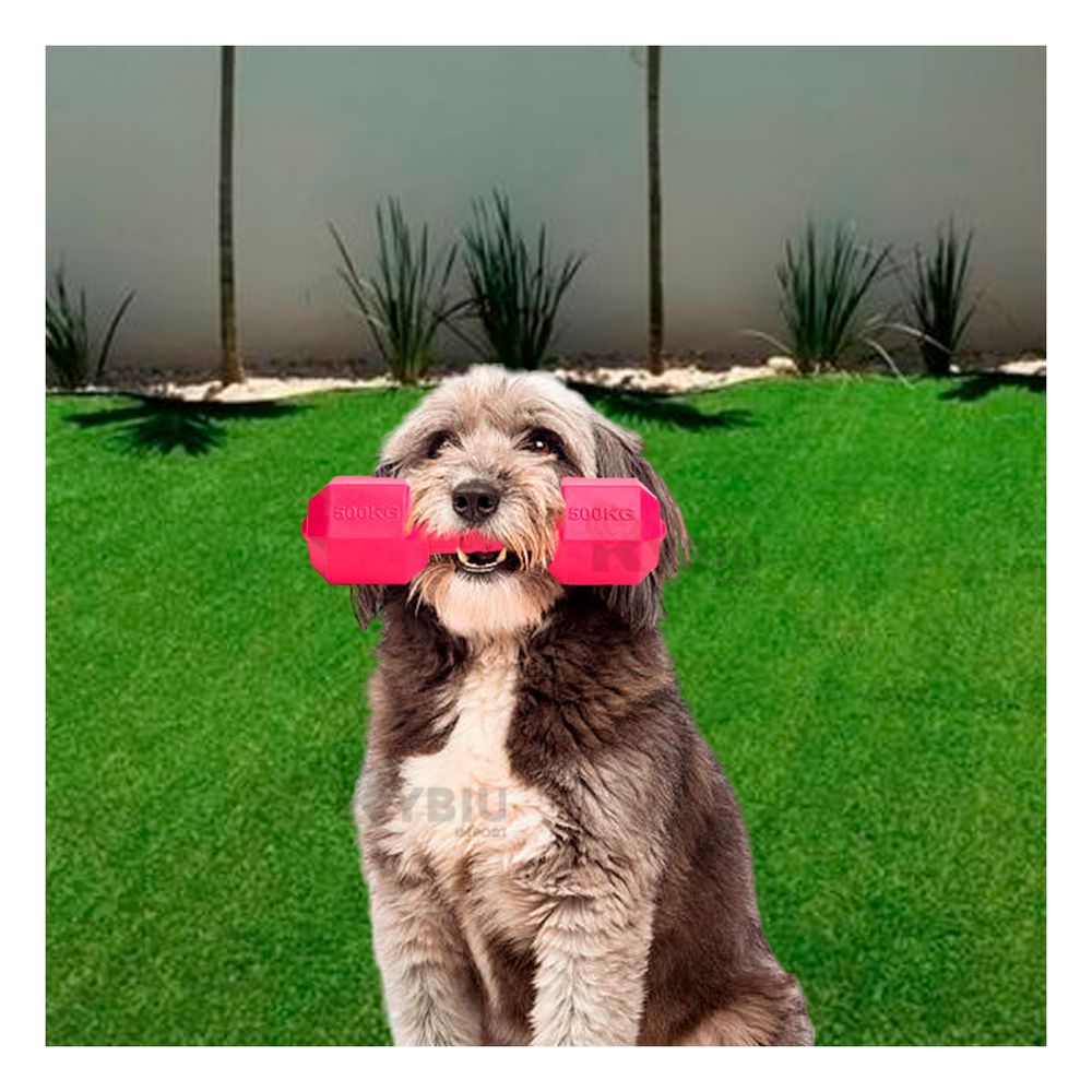 Juguete Interactivo para Perros Color Rosado Y+Agendita