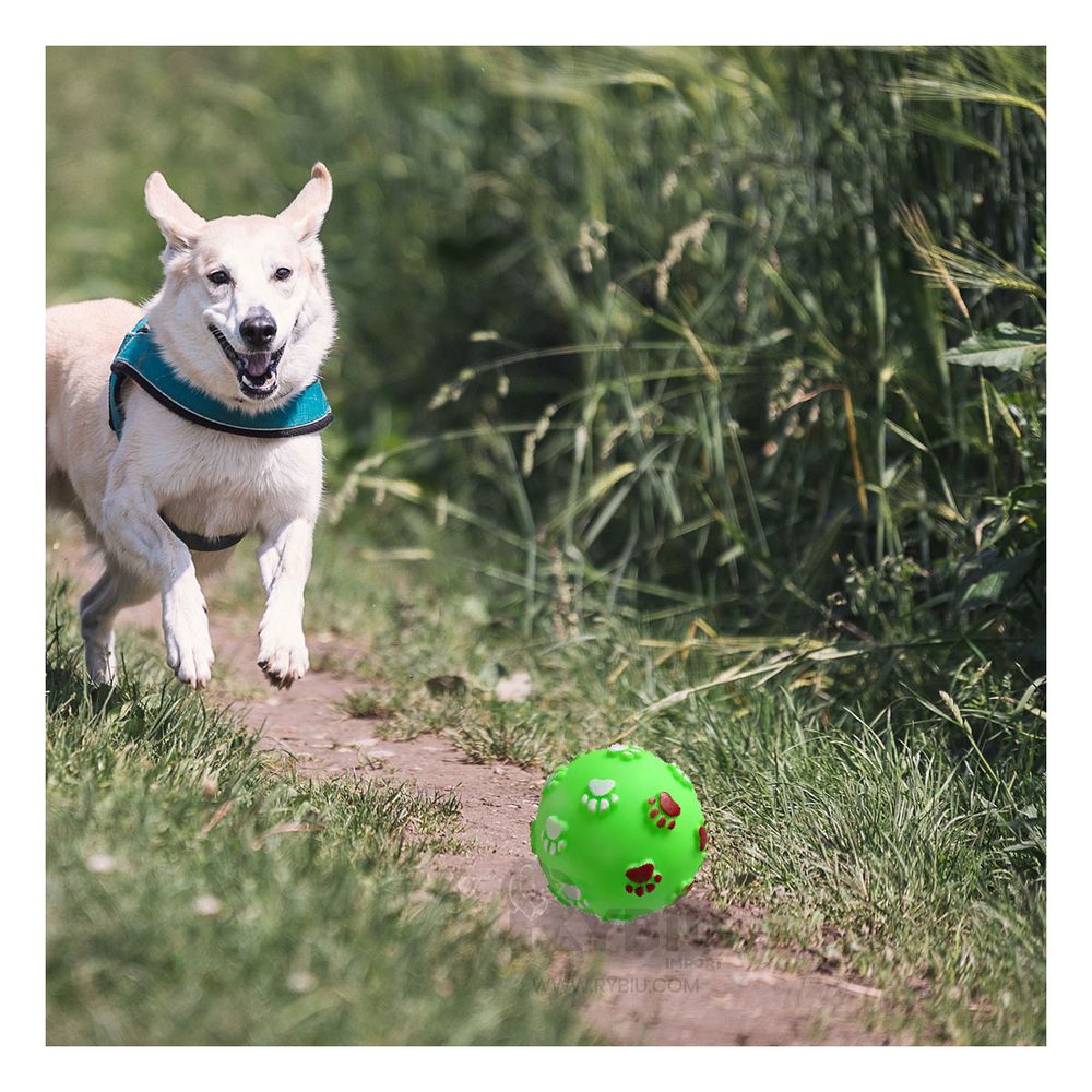 Pelota Antiestres para Mascotas en Verde Y+Stickers