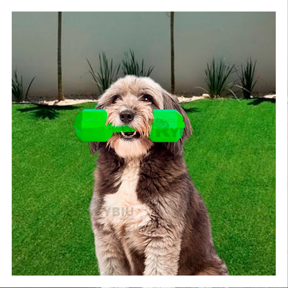 Juguete Interactivo para Perros en Color Verde Y+Agendita