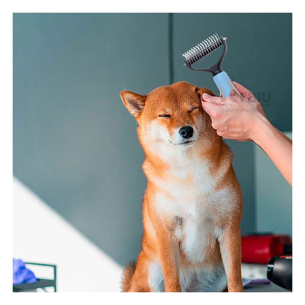 Cepillo Compacto Sutil en Tamaño Grande Y+ Papel de Regalo