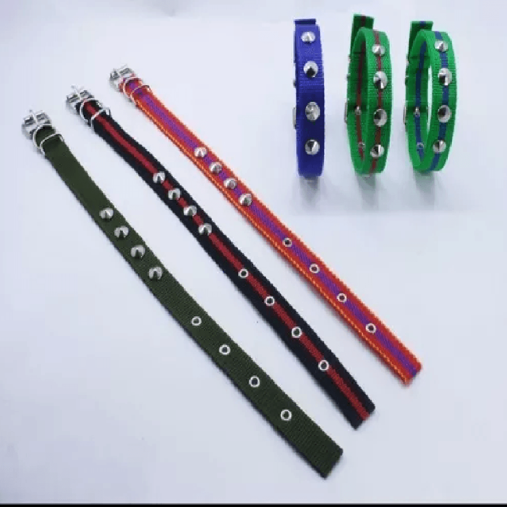 Collar para Mascotas Pequeñas Talla 0