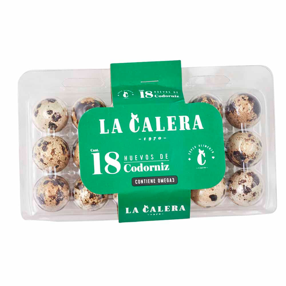 image-bf3358e8ef274eccbc4cd28730f1f8d3 image-bf3358e8ef274eccbc4cd28730f1f8d3