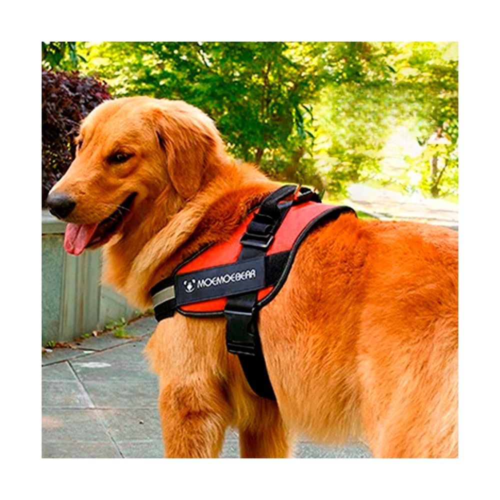 Pechera para Perro Service en Anaranjado XXL Oechsle