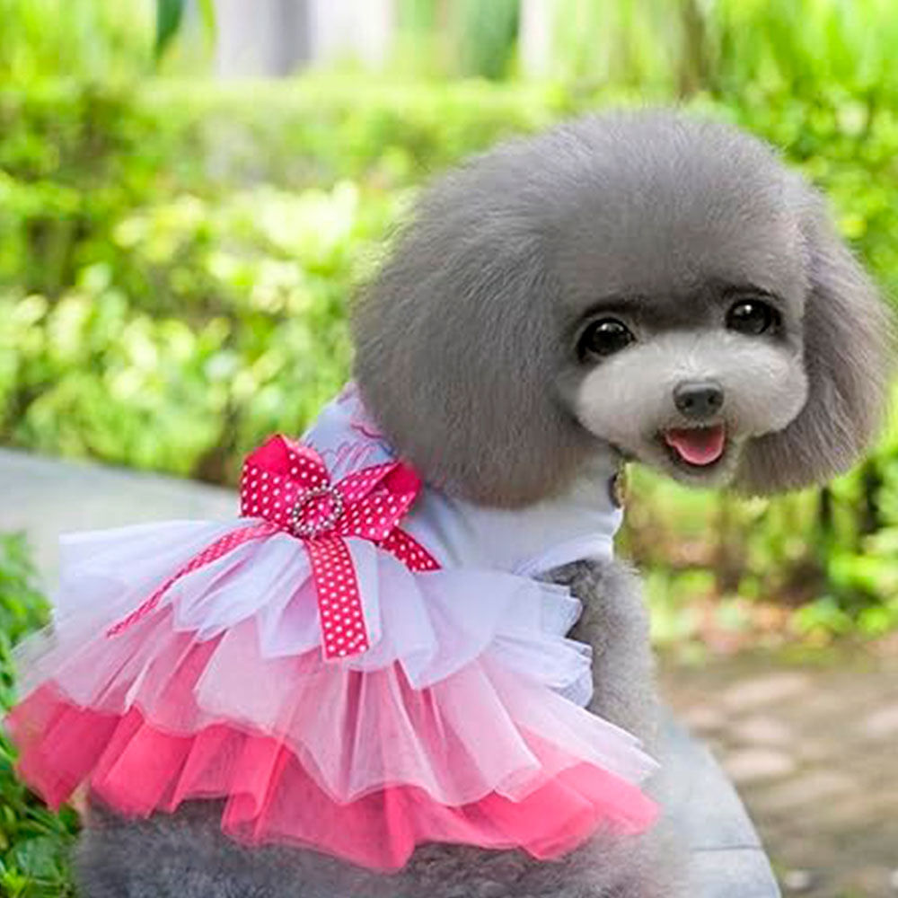 Disfraz para Perro Vestido Princesa Rosado y Azul Talla M