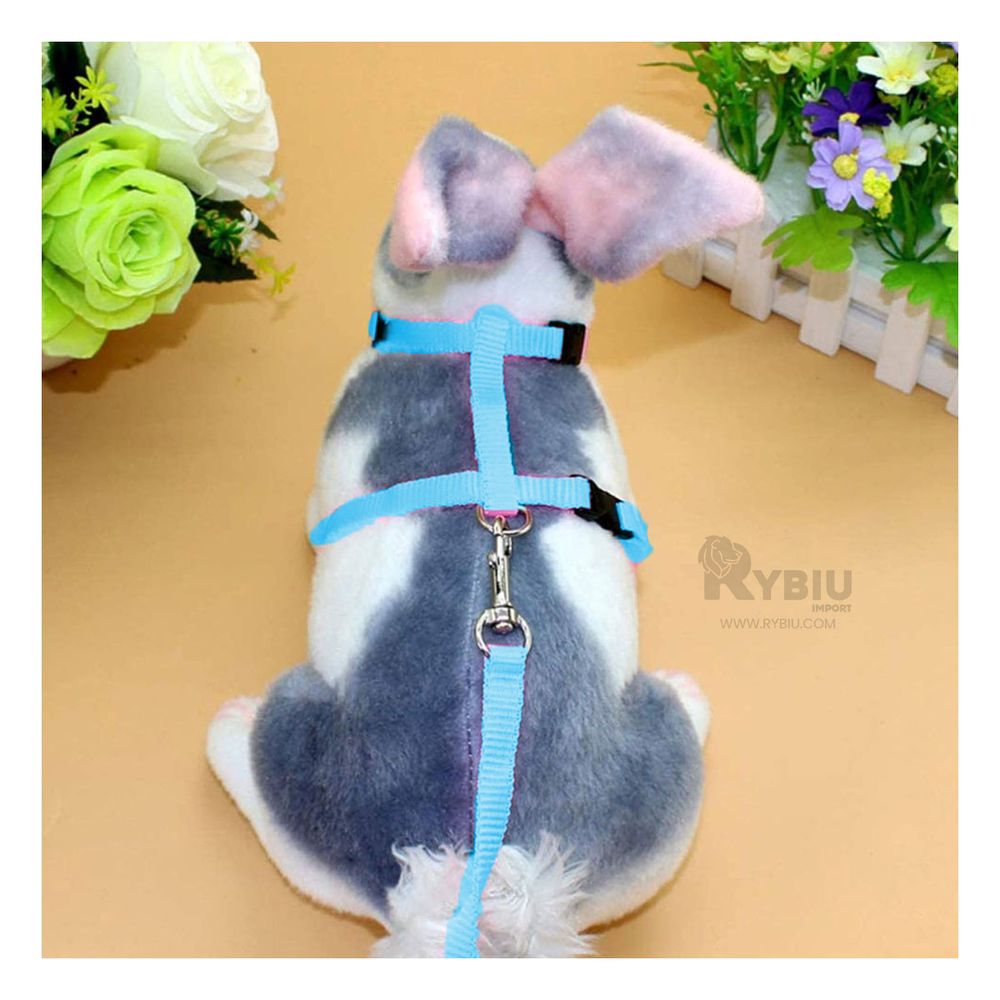 imageUrl_1 imageUrl_1