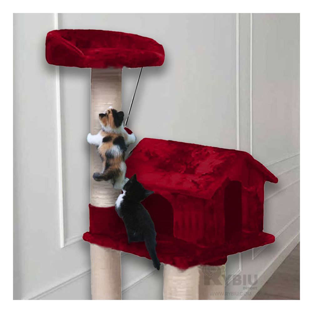 imageUrl_1 imageUrl_1