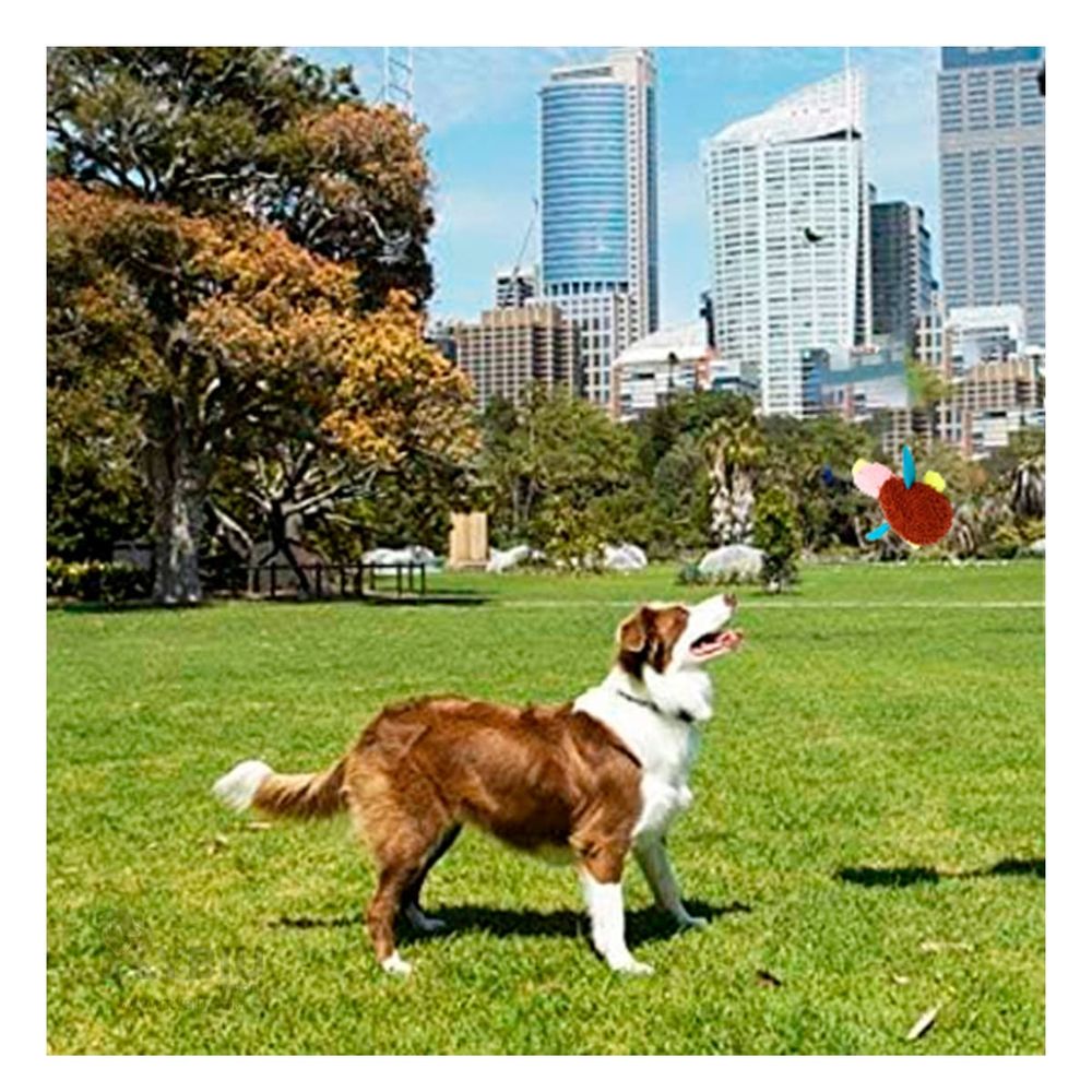 imageUrl_1 imageUrl_1