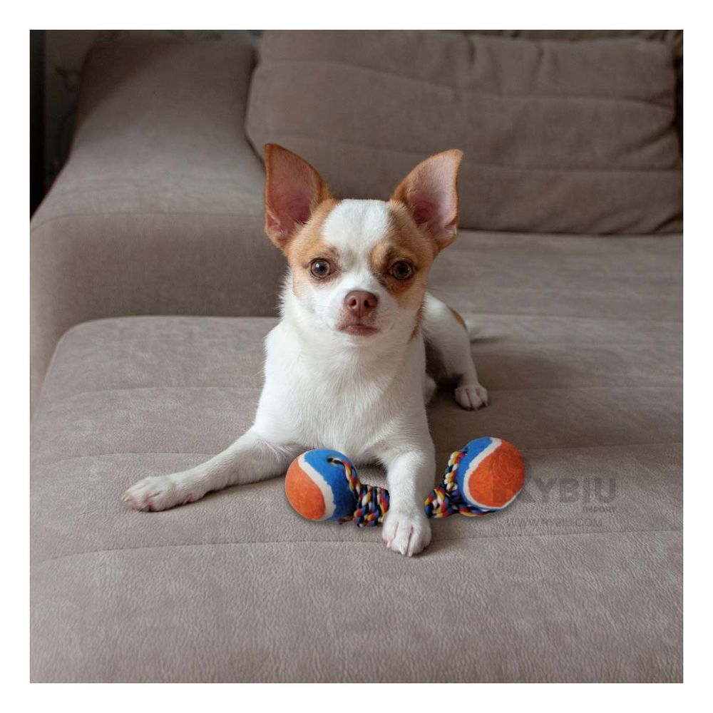 imageUrl_1 imageUrl_1