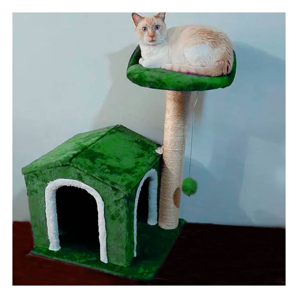 imageUrl_1 imageUrl_1