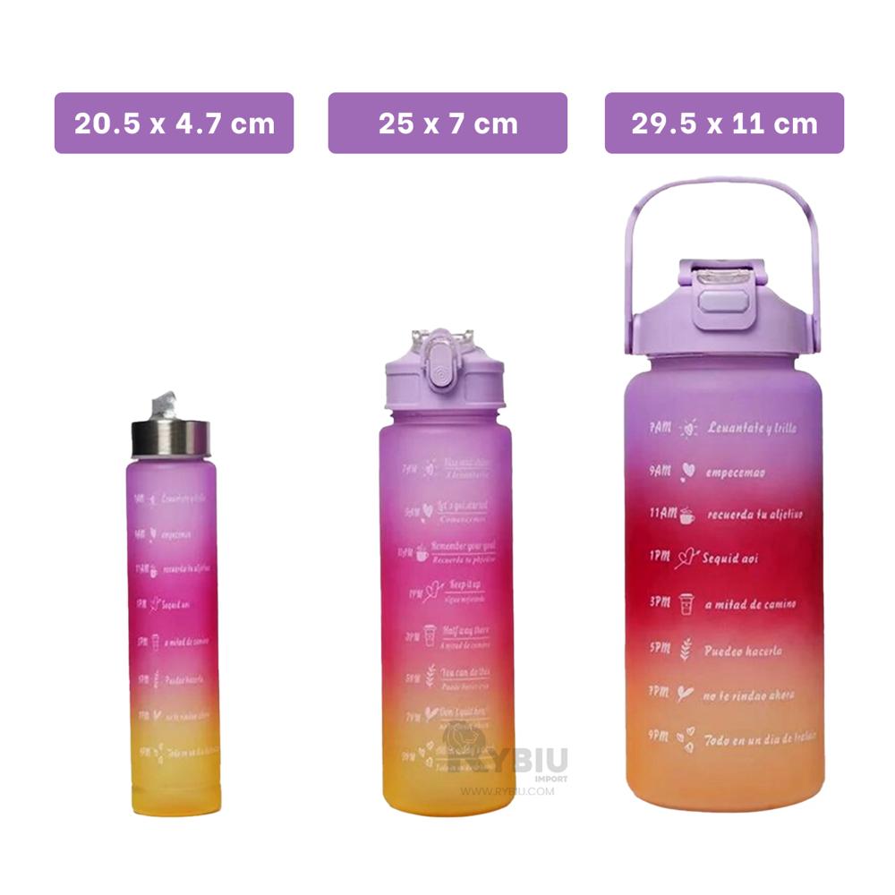 Botella Trio de Gym Tapa Morado Y+Regalo Ligas para Peinar