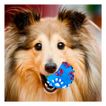 imageUrl_1
