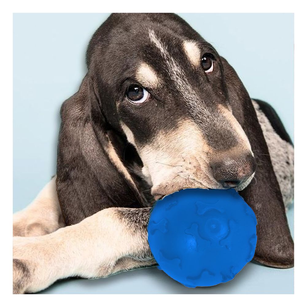 imageUrl_1 imageUrl_1