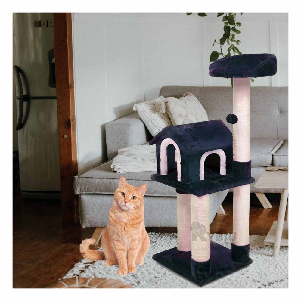 imageUrl_1 imageUrl_1