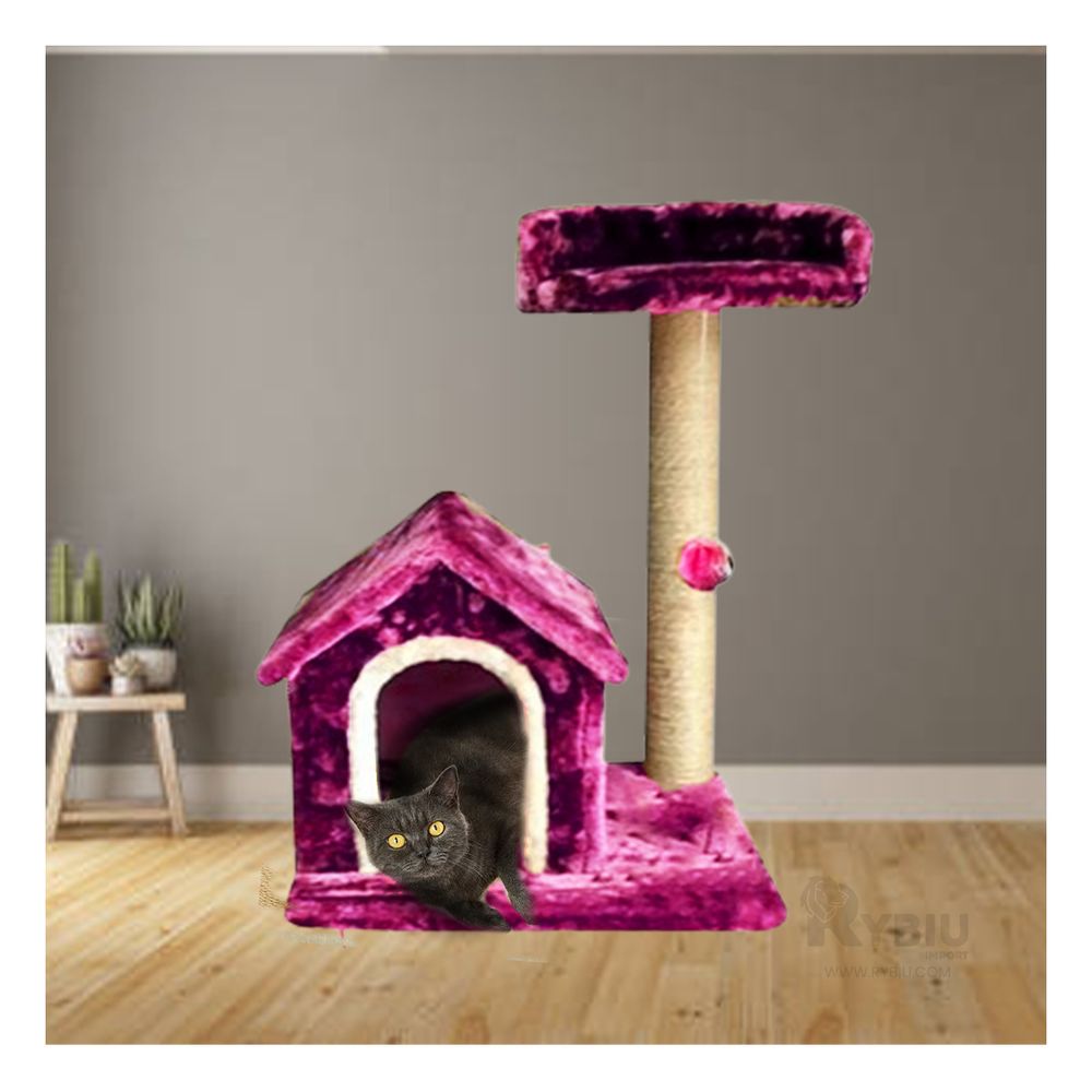 imageUrl_1 imageUrl_1