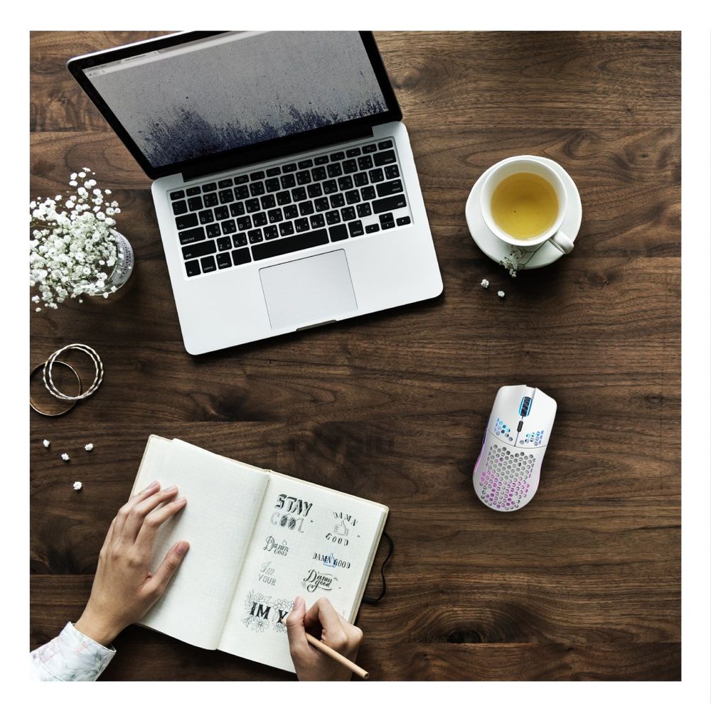 imageUrl_1 imageUrl_1