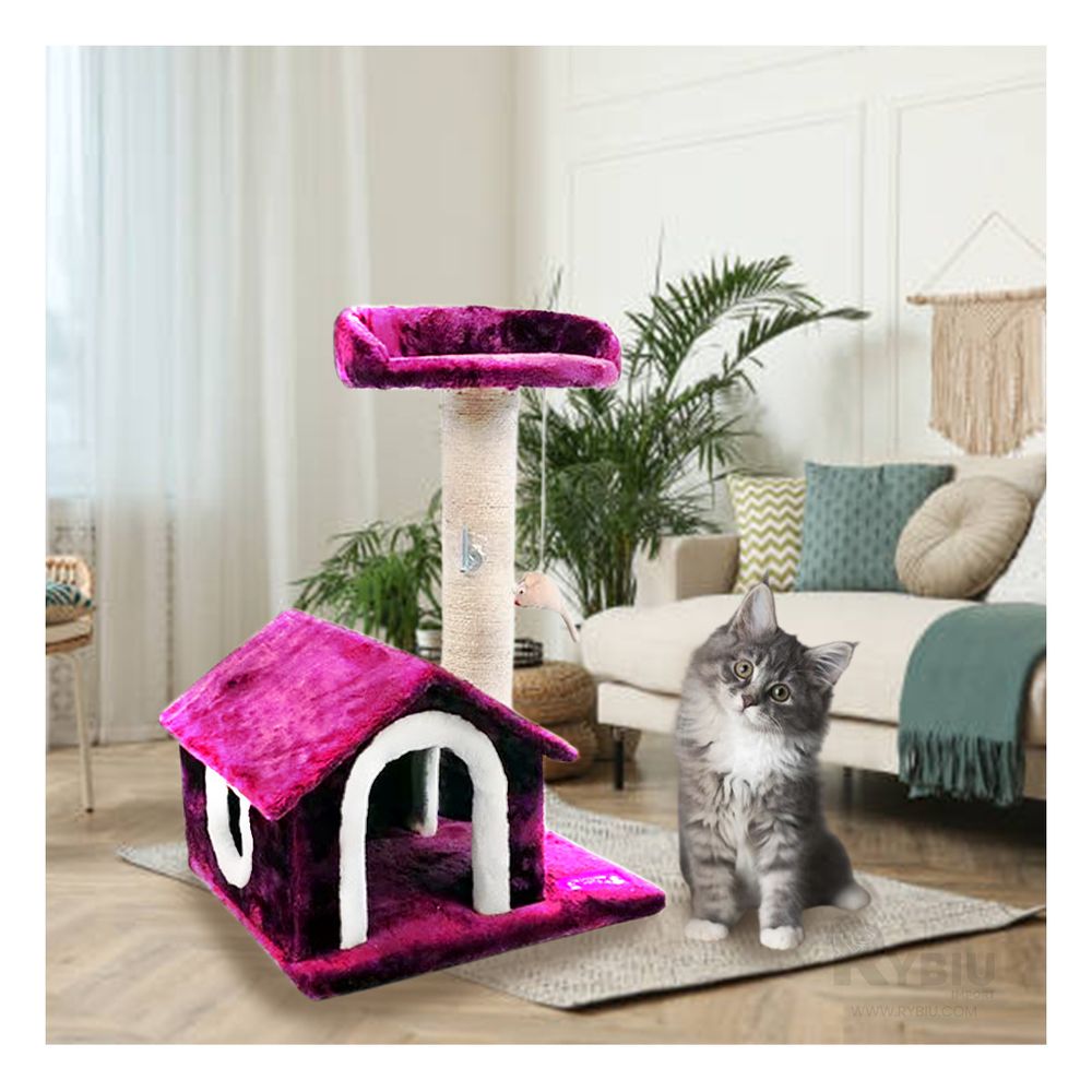 imageUrl_1 imageUrl_1