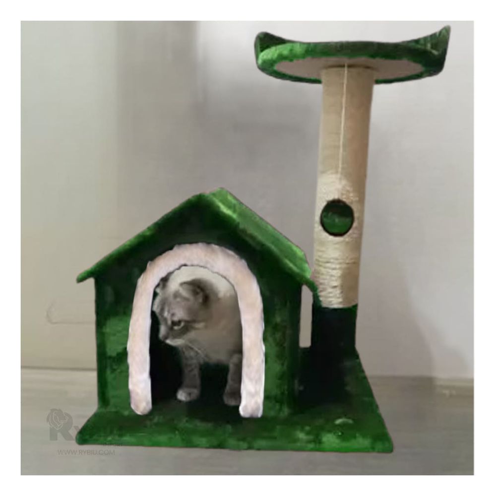 imageUrl_1 imageUrl_1