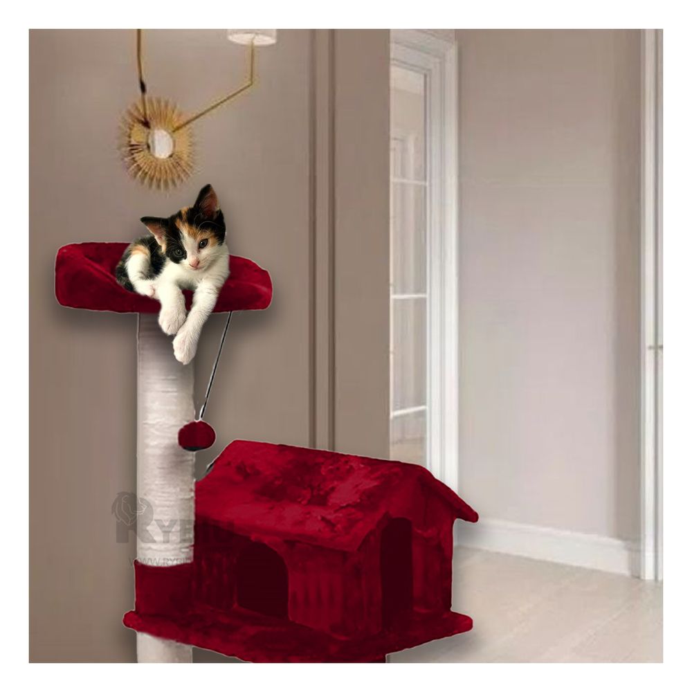 imageUrl_1 imageUrl_1