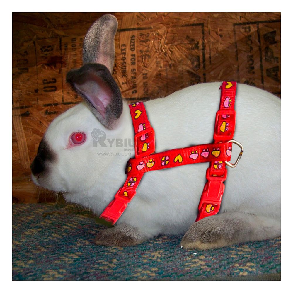 imageUrl_1 imageUrl_1