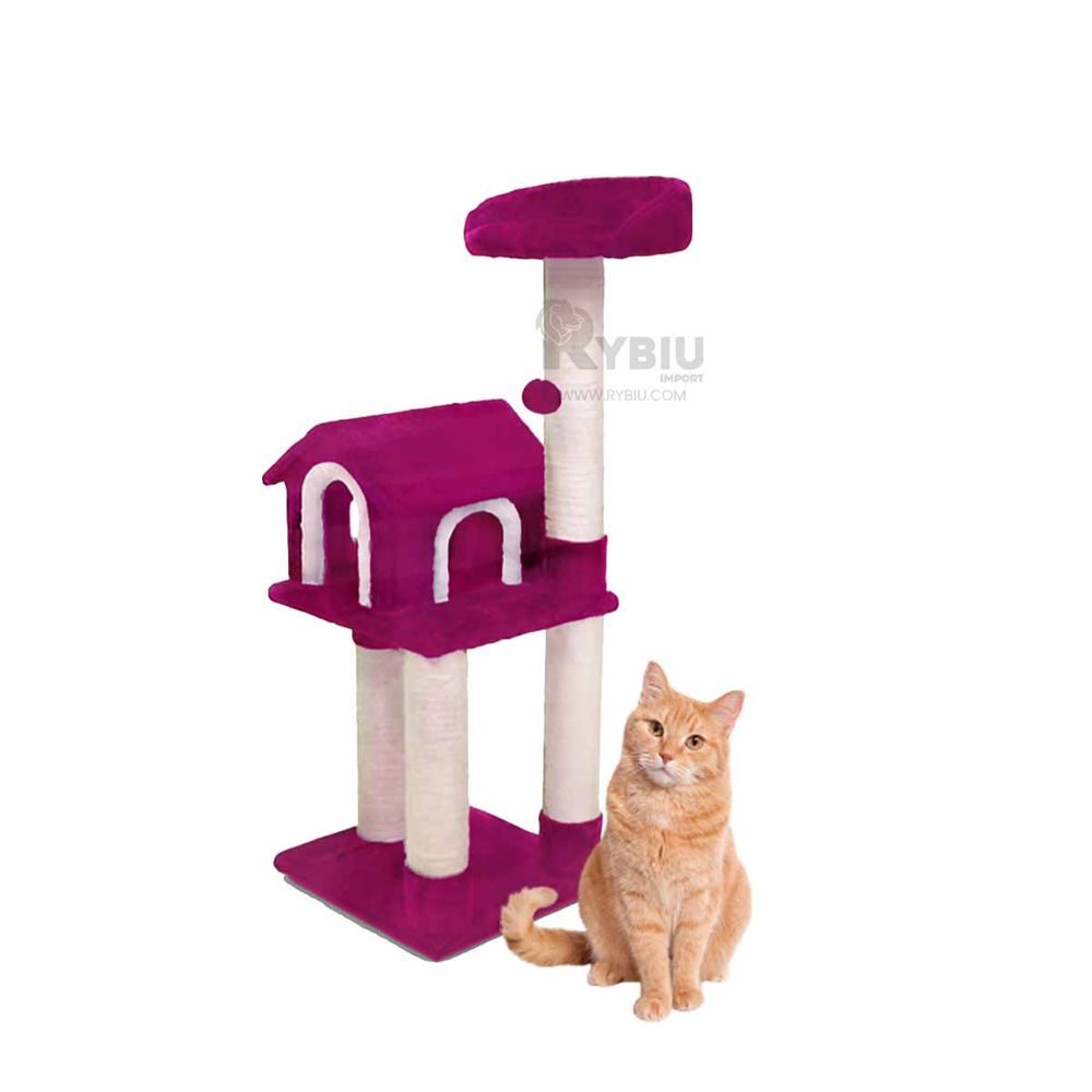 imageUrl_1 imageUrl_1