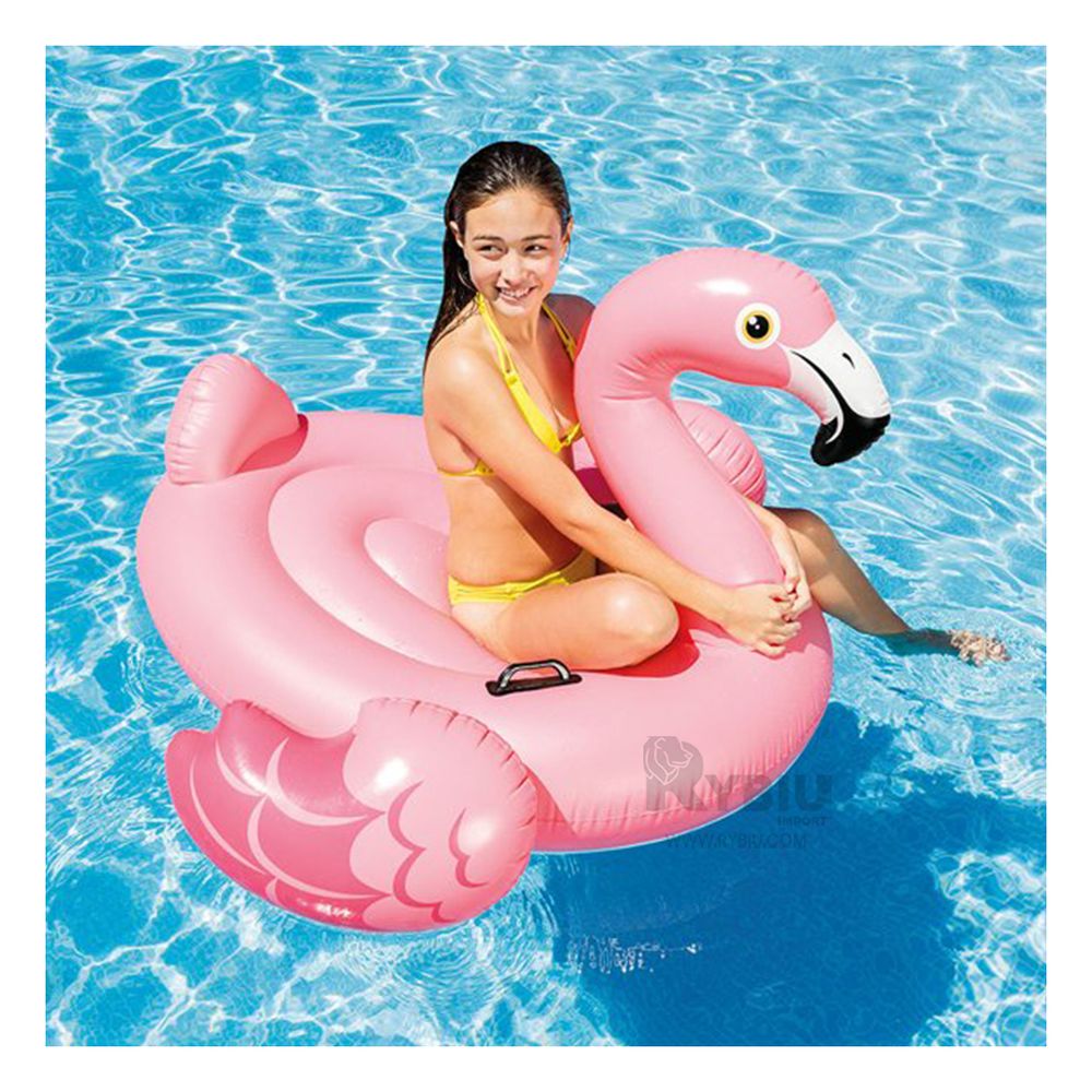 imageUrl_1 imageUrl_1