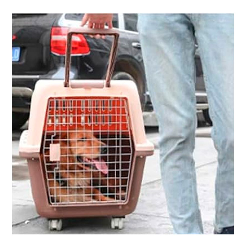 imageUrl_1 imageUrl_1