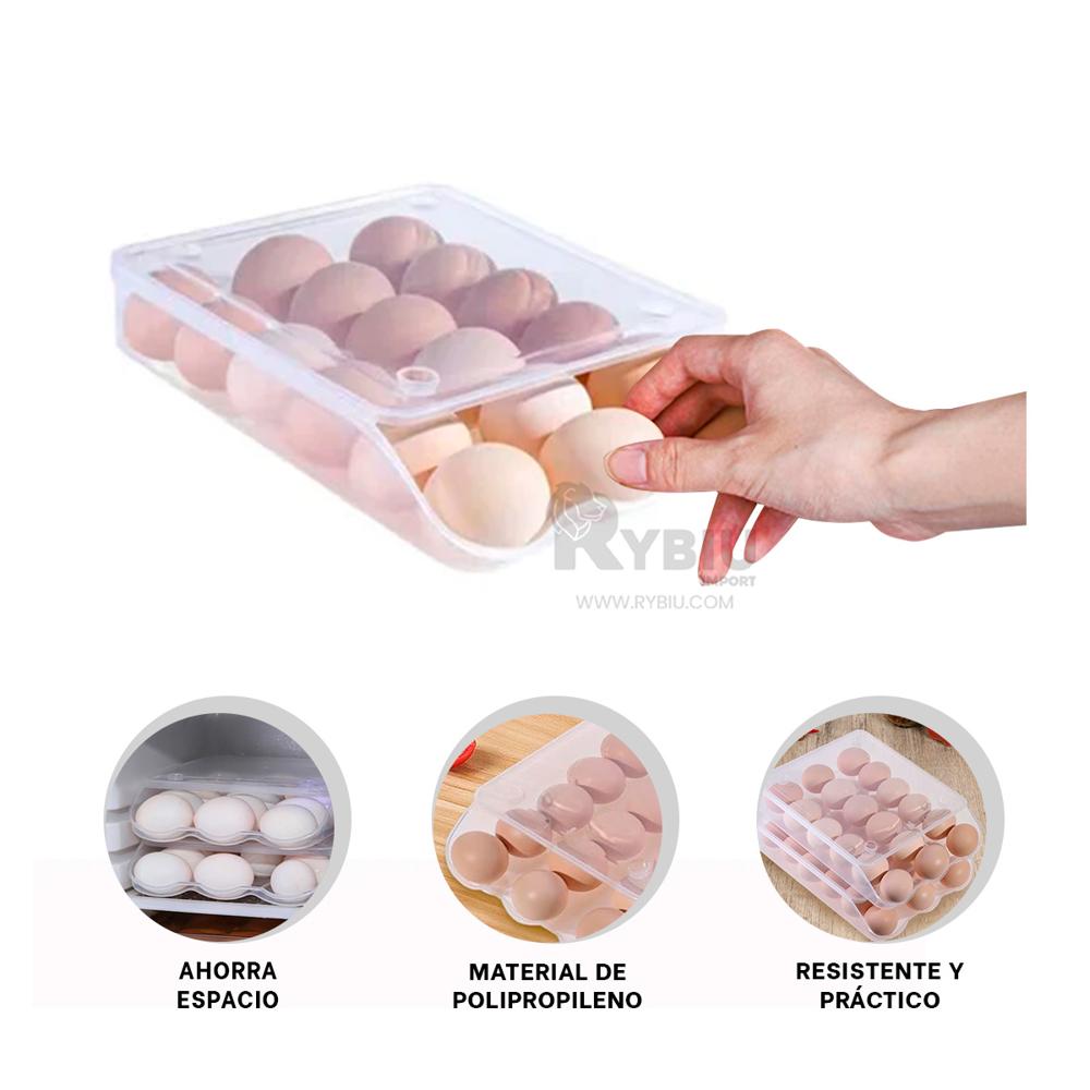 Bandeja de Moda en Transparente Y+Ligas de Regalo