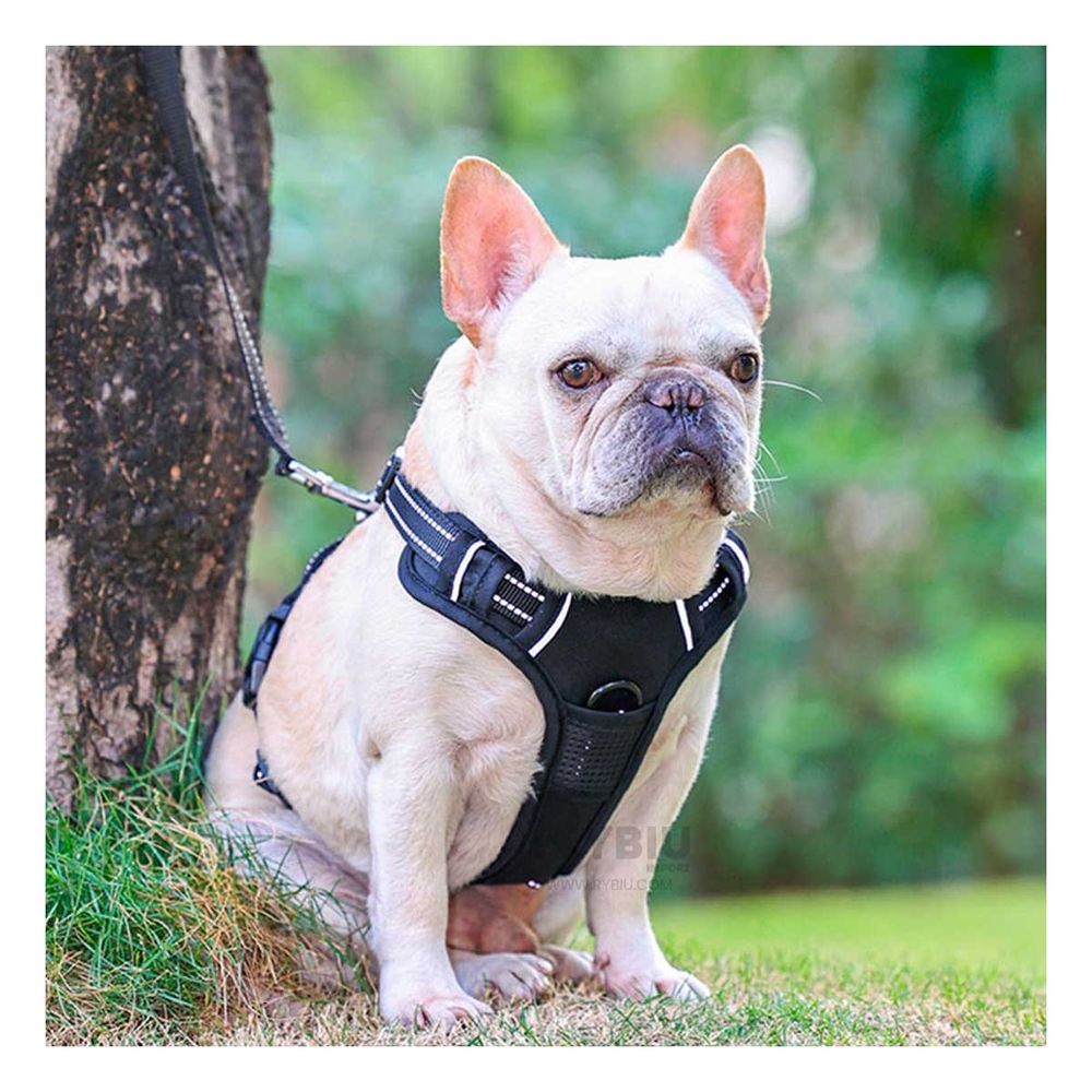 Pechera Harness Acolchado para Perro Talla S de Color Negro