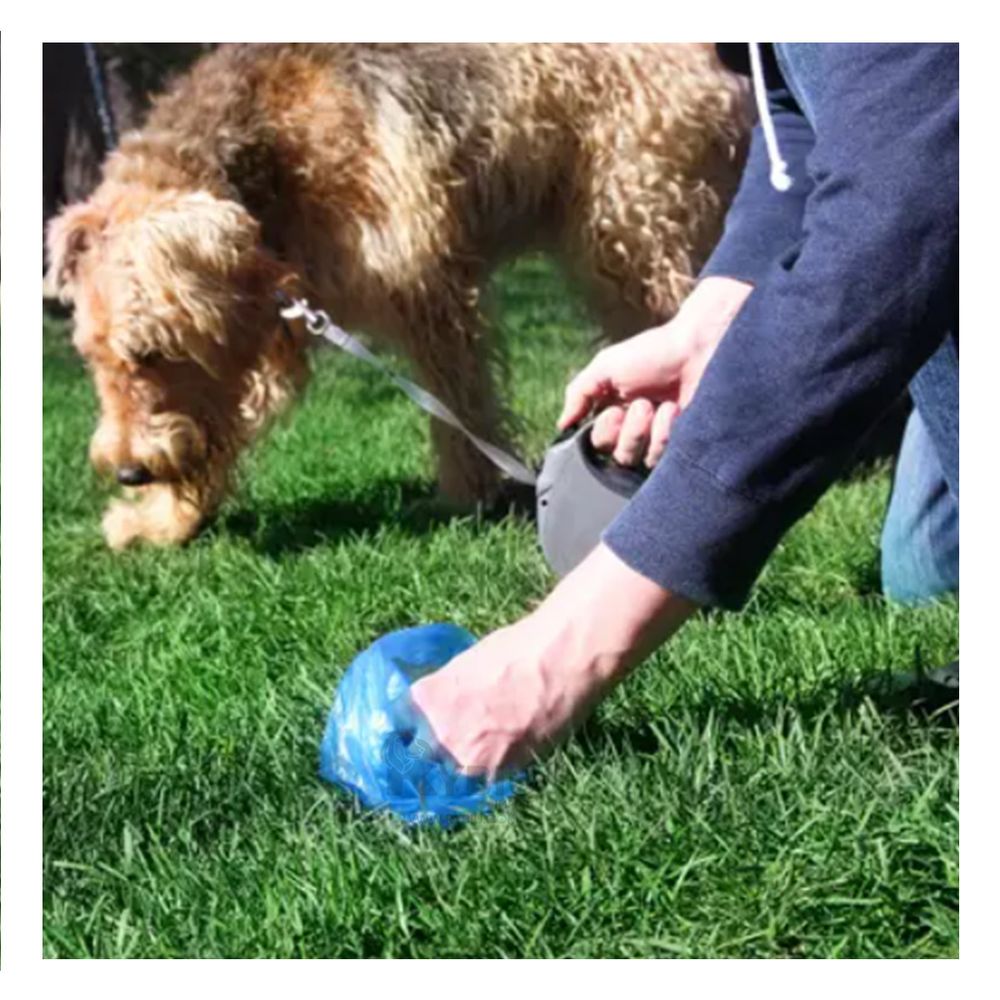 Bolsa Ergonomica para Pets en Color Azul Y+Regalo Agendita