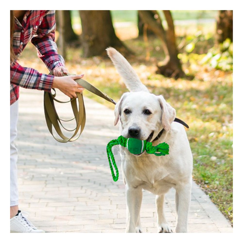 Soga con Nudo y Pelota de Tennis Canina Verde