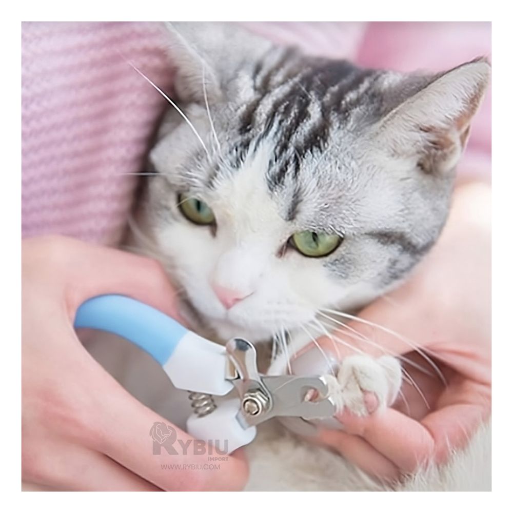 Corta Uñas Firme para Gatos Grande en Azul Y+Regalo Agendita